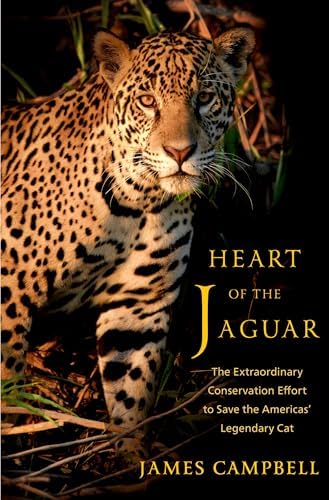 入手困難❗JAGUAR 完全版 洋書 ジャガー写真集 Jaguars (Amazing Animals): Bodden, Valerie: 9781682771006: Amazon